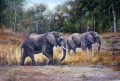 dw009dD Tier Elefant